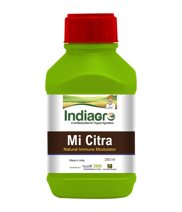 Citra (250ml)