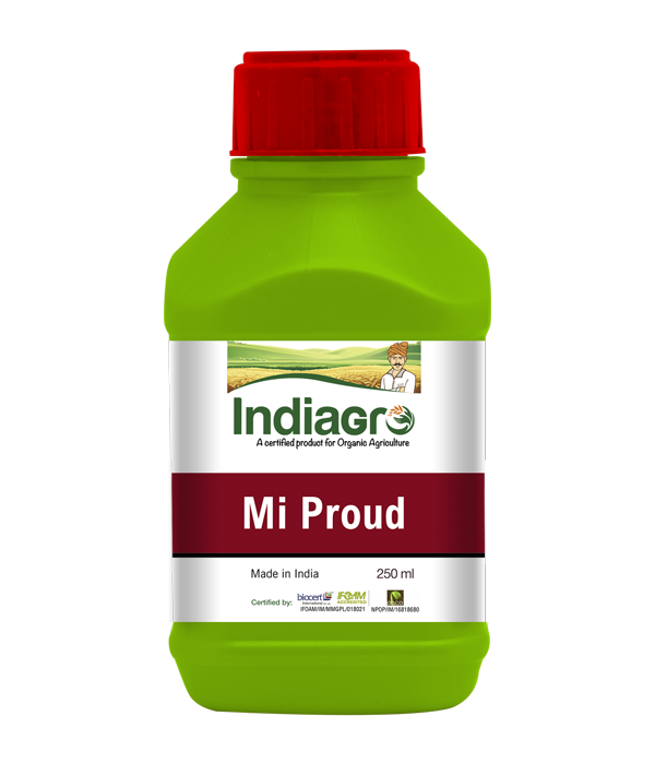 Proud (250ml)